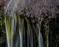 A 100% crop from Madden falls panoramic image http://www.digitaladventures.com.au/madden-fall-girls.html 