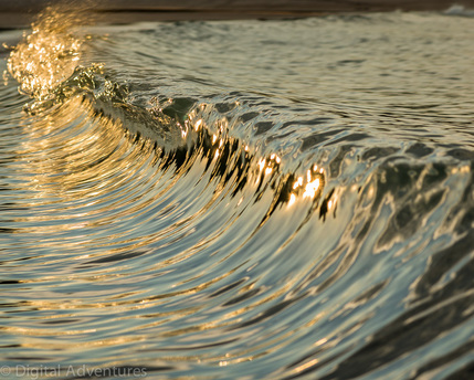 Golden Wave, Sunset at Port Stephens, NSW Australia. Image by Max Pemberton