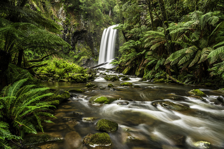 Hopetoun waterfall in the Great Otway National Park, Victoria Australia. Image by Max Pemberton